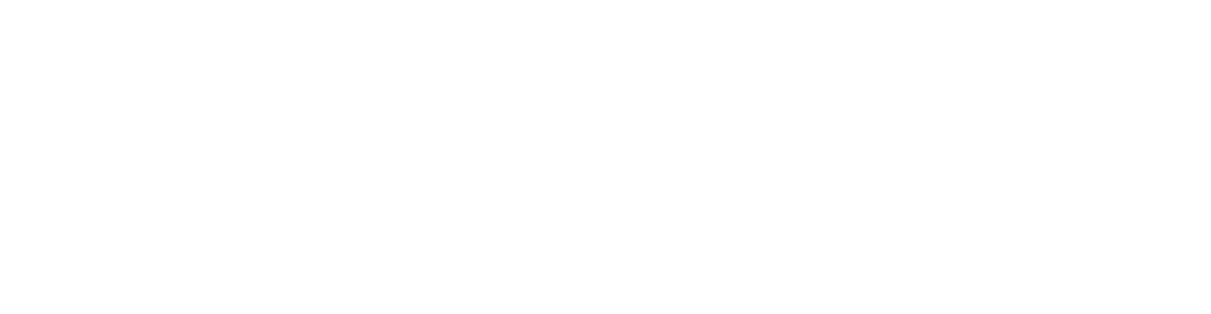 TRIV_next_logo-white