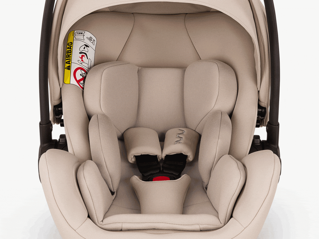 headrest and harness 1